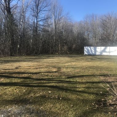 Pat Weber Back Yard